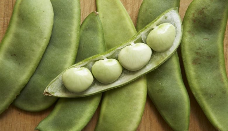 How to Grow Lima Beans