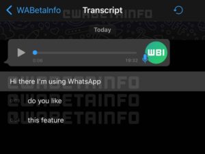 Transcribe section WhatsApp