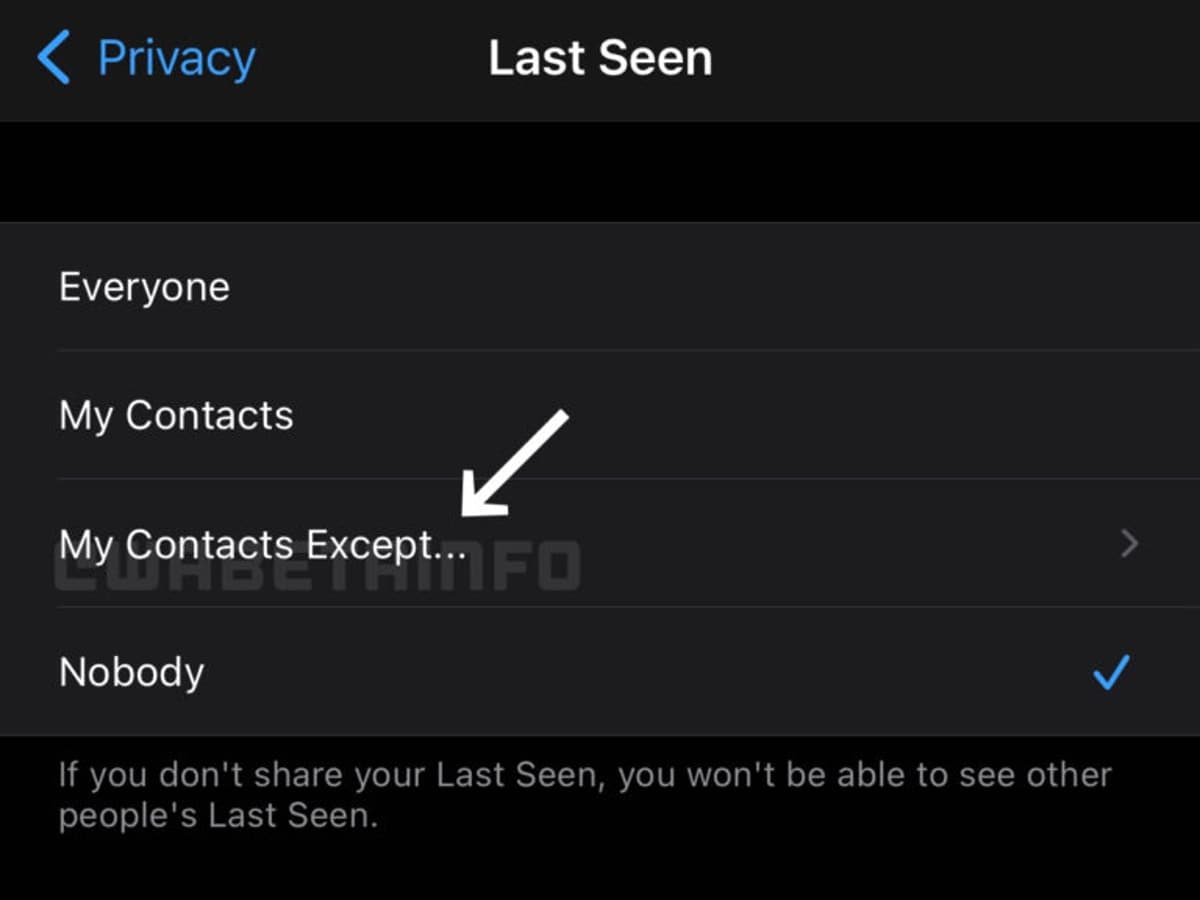 WhatsApp May Let You Disable Last Seen, Profile Photo, About Status for Specific Contacts | Technology News